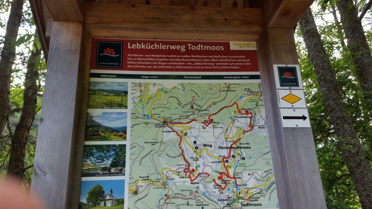 Ferienwohnung Im Schwarzwald Todtmoos Luaran gambar