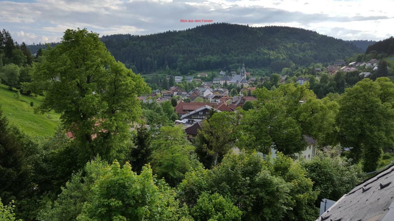 Ferienwohnung Im Schwarzwald Todtmoos Luaran gambar