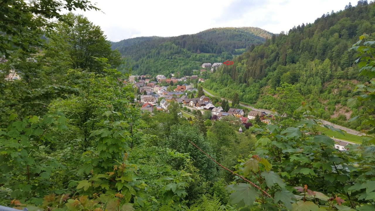 Ferienwohnung Im Schwarzwald Todtmoos Luaran gambar