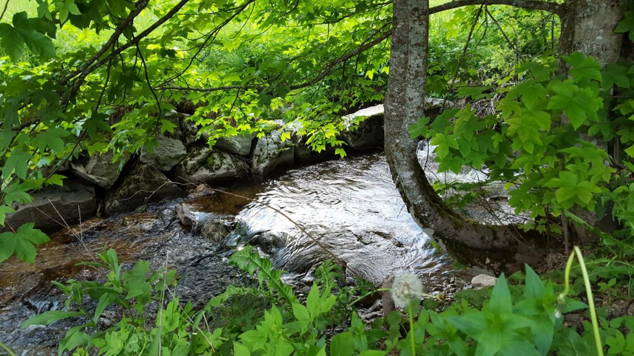 Ferienwohnung Im Schwarzwald Todtmoos Luaran gambar